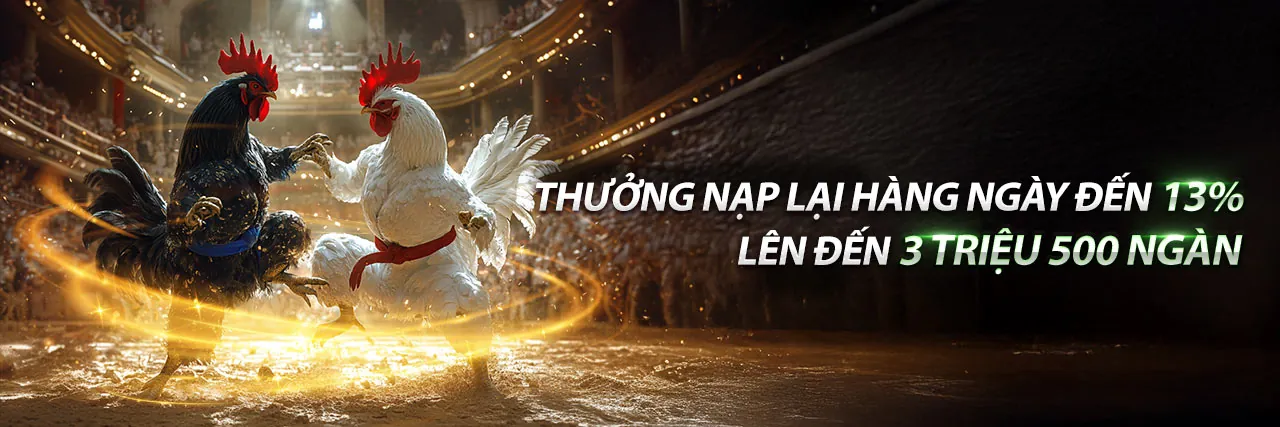 Đá gà trực tuyến 888vi
